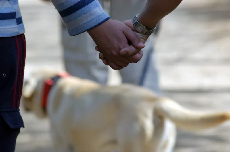 Dogs’ Mind